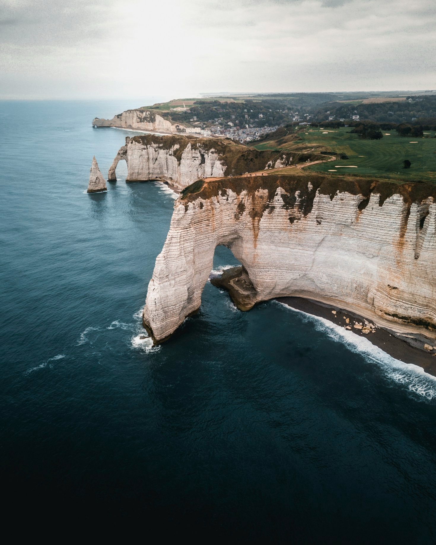The Role of Estuaries in Marine Ecosystems