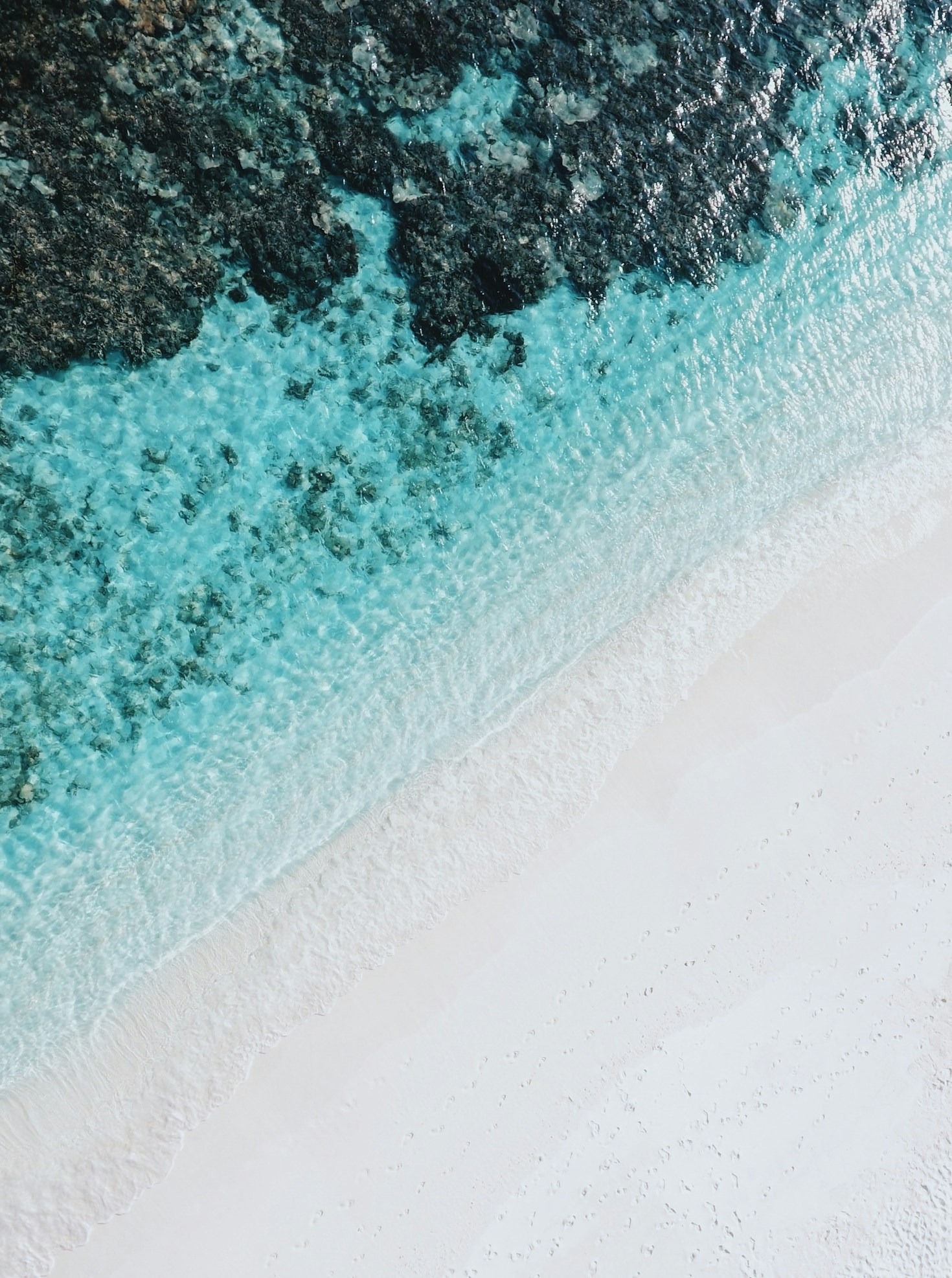 Understanding the Impact of Pollution on Oceans