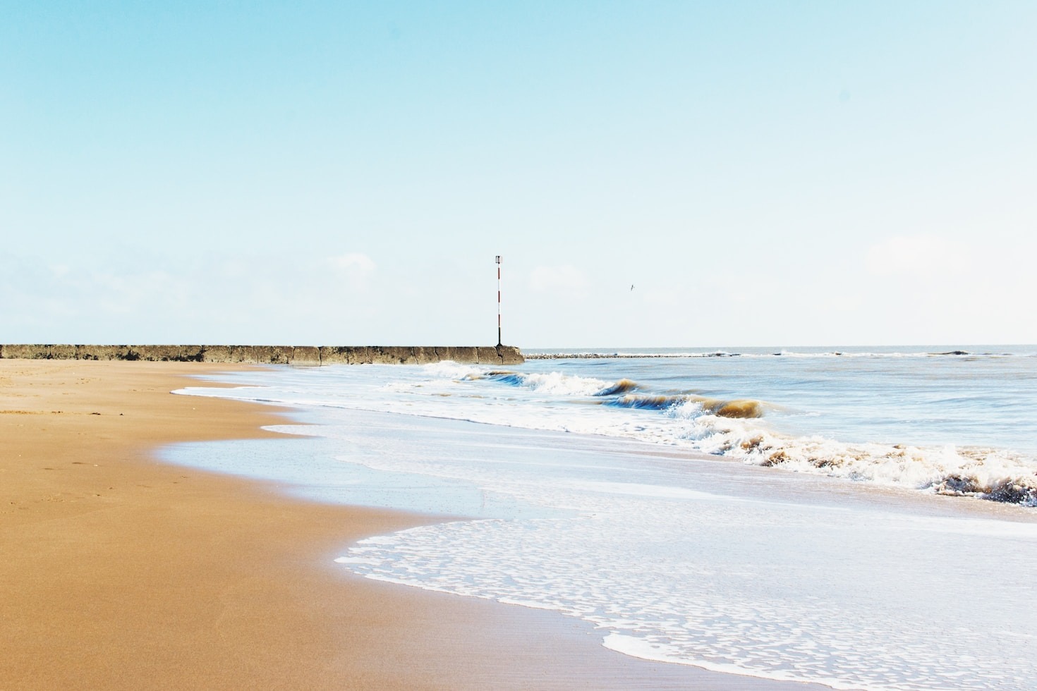 Exploring the Rich History of SC’s Fisheries